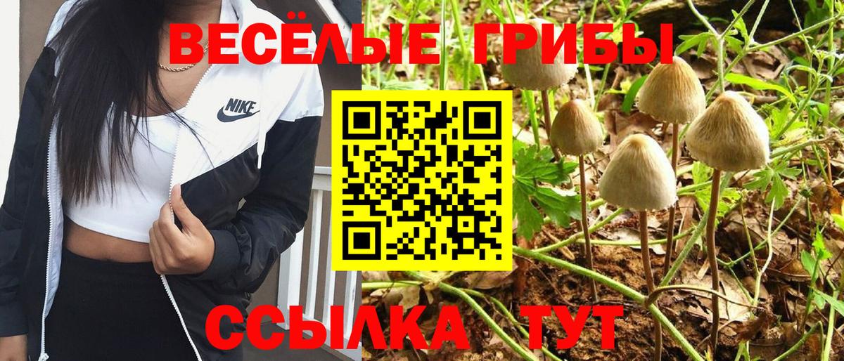 Псилоцибиновые грибы GOLDEN TEACHER Ступино