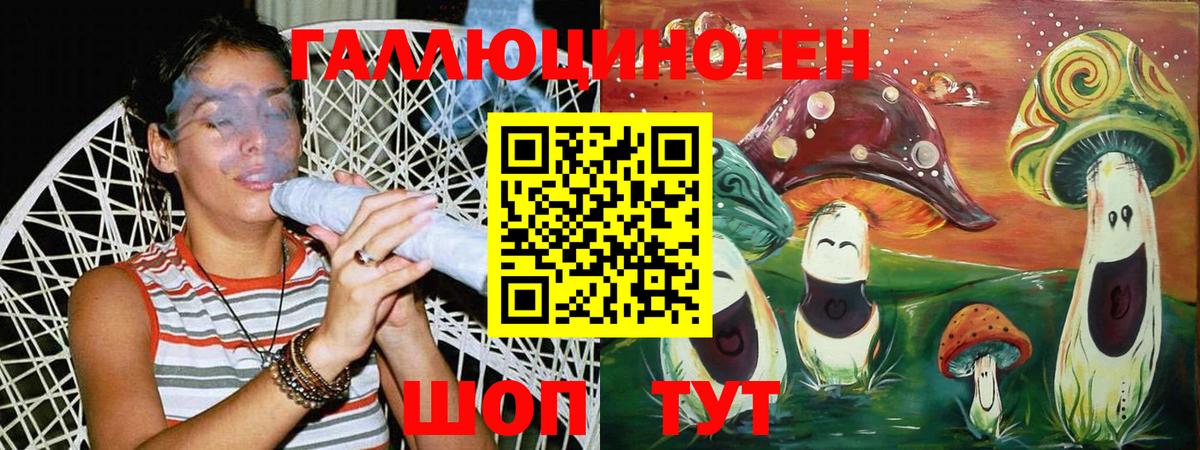 Ступино  Галлюциногенные грибы Psilocybine cubensis  Вход с VPN 